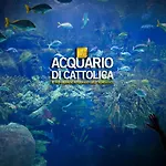 Italy 미사노아드리아티코