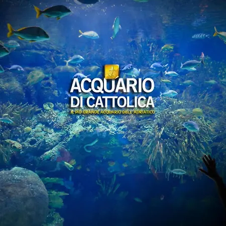 Italy Misano Adriatico